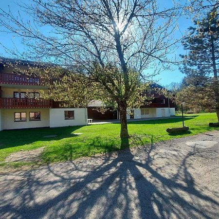 Tres Bel Appartement Lumineux A Samoëns Εξωτερικό φωτογραφία